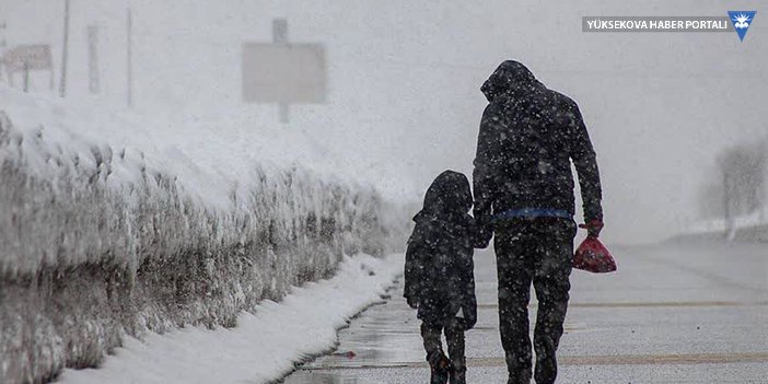 Van, Hakkari ve Bitlis'te 152 yerleşim biriminin yolu kardan kapandı