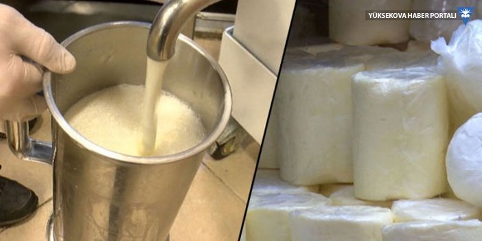 Çiğ süt zammının ardından süt ürünleri de yüzde 50 zamlandı