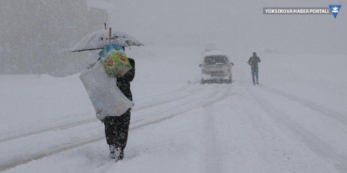 Yüksekova'da kar yağışı; 10 köy ile 20 mezra yolu kapandı
