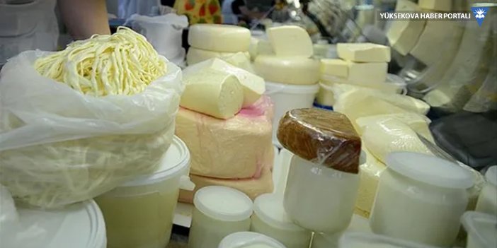 Süt, peynir ve yoğurda yüzde 45-60 zam geliyor