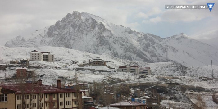 Van ve Hakkari'de kar nedeniyle 83 yerleşim yerinin yolu kapandı