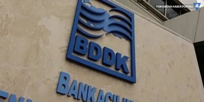 BDDK’dan 13 bankaya 50’şer bin TL 'kredi' cezası