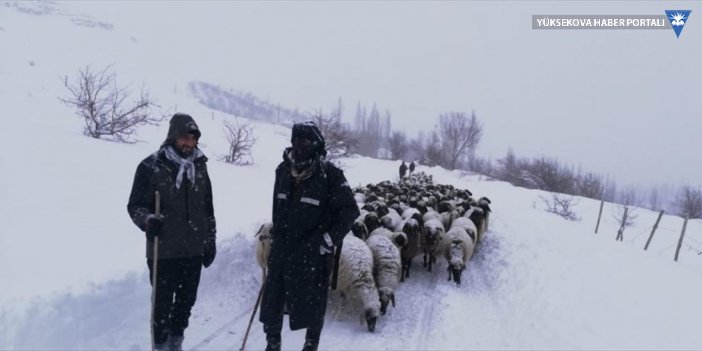 Esendere'de kar nedeniyle mahsur kalan çoban ve sürüsü kurtarıldı