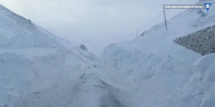Erzurum'da çığ düştü: 2 kişi kar altında