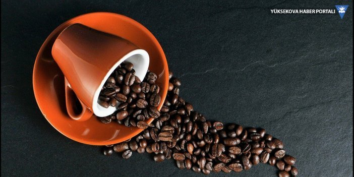 10 yıl süren, 500 bin kişilik araştırma: Kahve ömrü uzatıyor