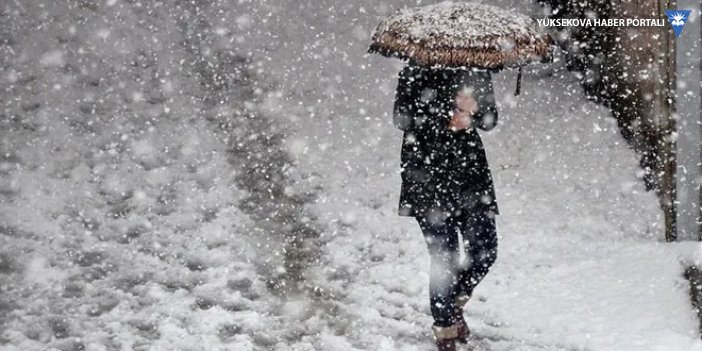 Hakkari'de 51 yerleşimin yolu kardan kapandı