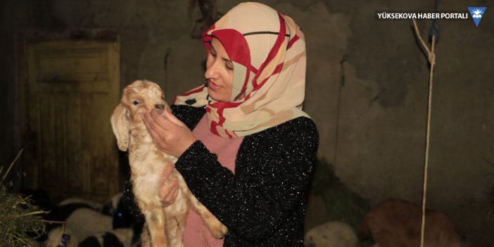 3 çocuk annesi Fidan, proje kapsamında aldığı koyunlar ile ailesini geçindiriyor