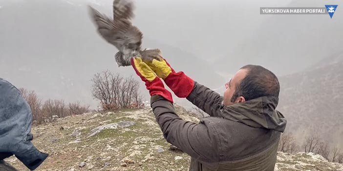 Hakkari'de tedavileri tamamlanan üç yabani kuş doğaya salındı