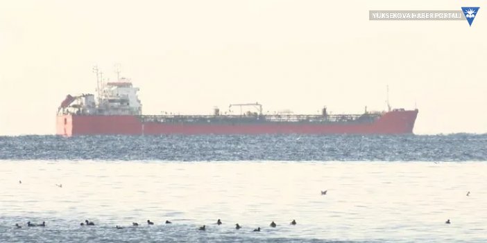 Rusya’dan gelen ayçiçeği yağı yüklü gemi İstanbul Boğazı'na ulaştı
