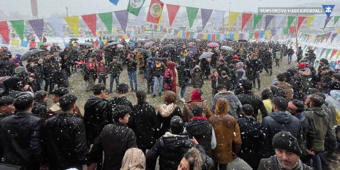 HDP: 'Newroz meydanını dolduran Şemzinan halkına teşekkür ediyoruz'