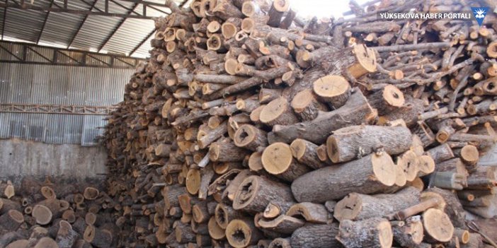 Şırnak’ta ağaç kıyımı: Urfa’ya günde 600 ton odun getiriliyor