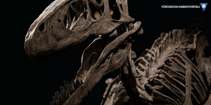 ABD'de kuruyan nehirde 113 milyon yıl öncesine ait dinozor izleri bulundu