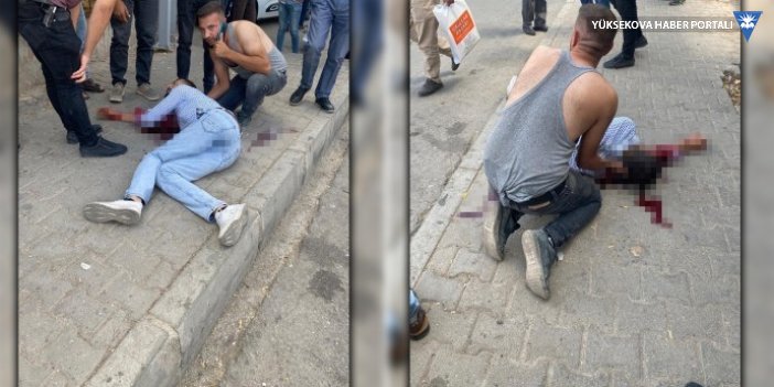 Mardin Valiliği'nden Midyat açıklaması: Polisin ayağı takıldı, silah ateş aldı