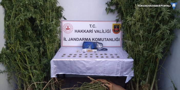Yüksekova'da 4 kilo 421 gram esrar ele geçirildi