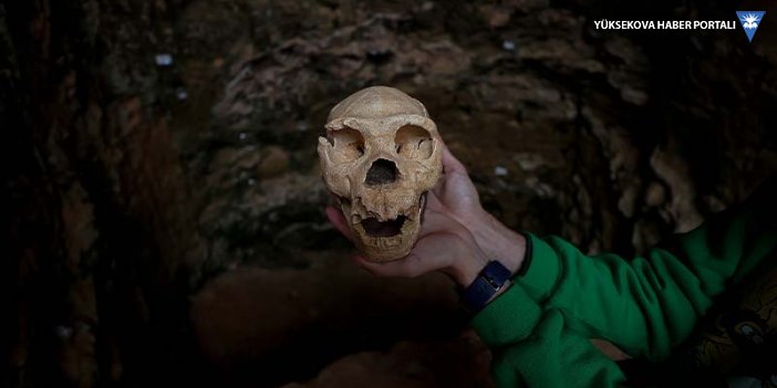 Avrupa'nın en eski insan fosili bulundu: 1,4 milyon yaşında
