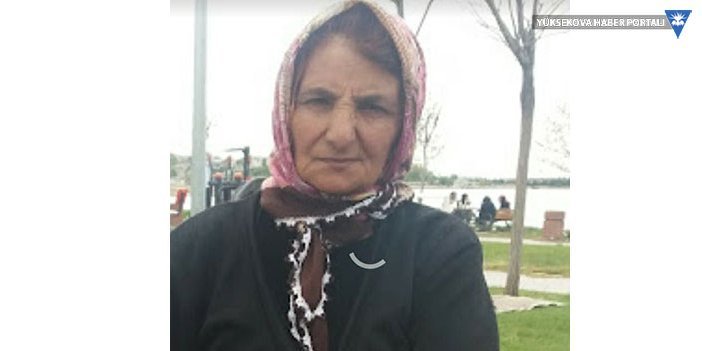 Yüksekova'da kaybolan Alzheimer hastası kadını arama çalışmaları sürüyor