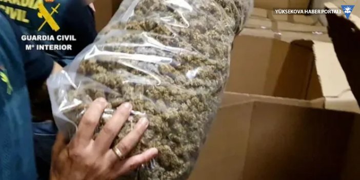 İspanya'da 'rekor' uyuşturucu operasyonu: 32 ton marihuana ele geçirildi