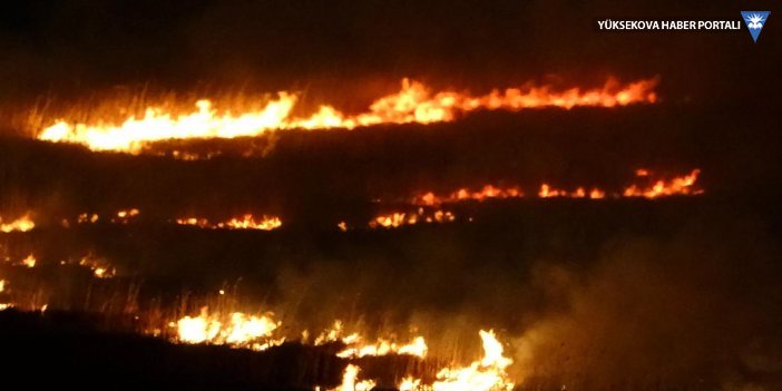 Yüksekova'daki Nehil Sazlığı 4 gündür yanıyor