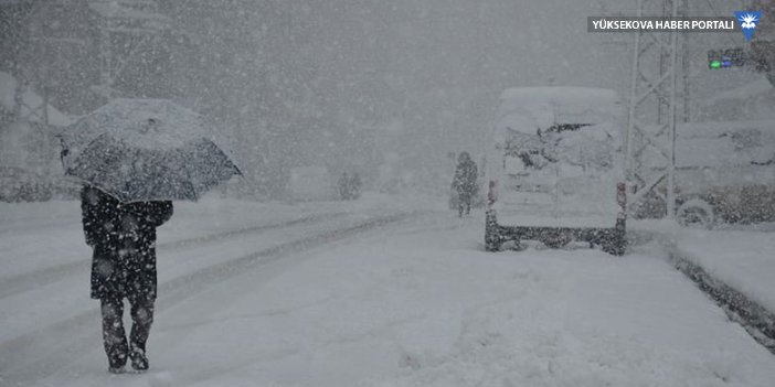 Yüksekova'da kar, 115 yerleşim yerinin yolunu ulaşıma kapattı