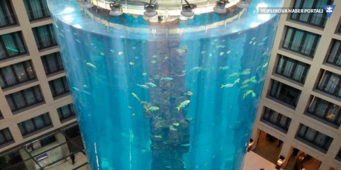 Berlin'de 1500 balığın bulunduğu dev akvaryum patladı