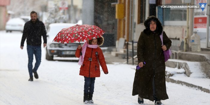 Meteorolojiden 14 il için uyarı: Hakkari'de kuvvetli kar yağışı bekleniyor