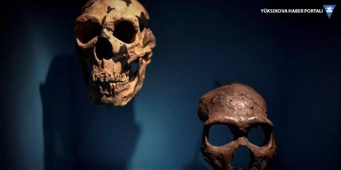 Dünyada ilk: 30 bin yıl önce ölen çocuğun yüzü ortaya çıkarıldı