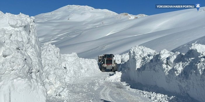 Hakkari'de kardan kapanan yollar ulaşıma açıldı