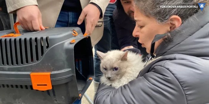 Diyarbakır Galeria Sitesi'nde bir kedi daha kurtarıldı
