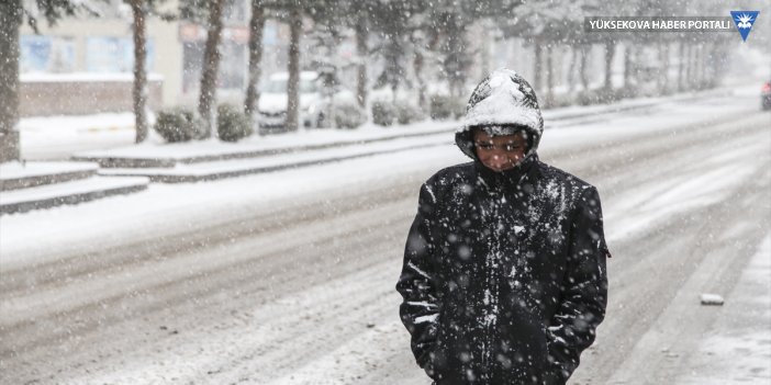 Hakkari, Van, Bitlis ve Muş'ta kar etkili oldu