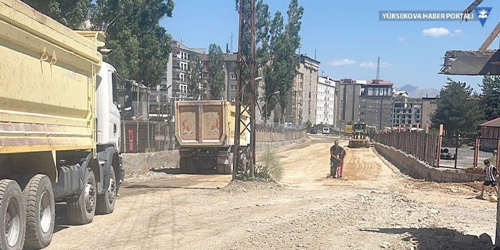 Yüksekova'da yol yapımına direk engeli