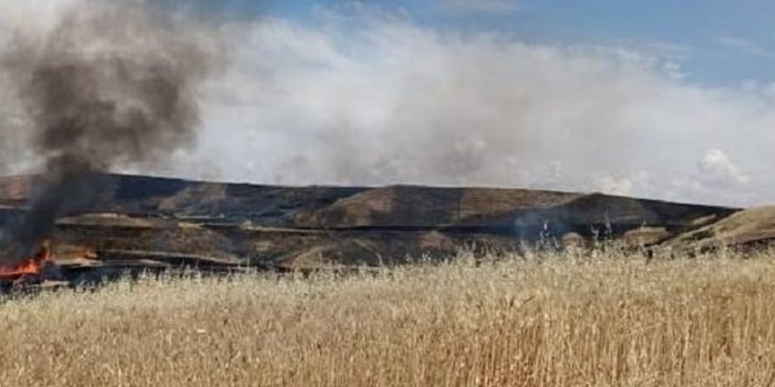 Diyarbakır'da iki günde 25 hektar arazi yandı