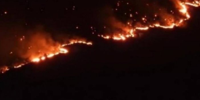 HDP: Cûdî’deki yangına müdahale edilmesine izin verilmiyor