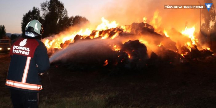 Yüksekova'da 21 bin 500 bağ ot yandı