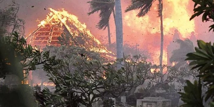 ABD’deki orman yangınlarında ölü sayısı 89’a çıktı