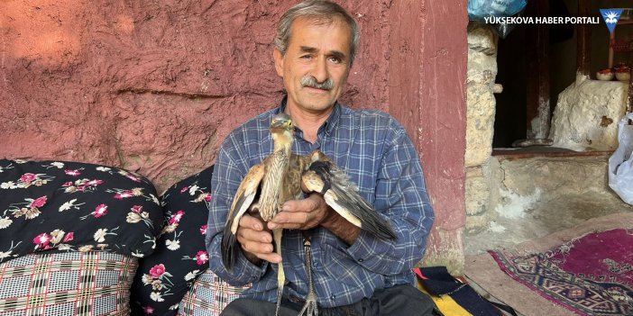 Yüksekova'da Yaralı Balaban Kuşu Tedavi Edildi