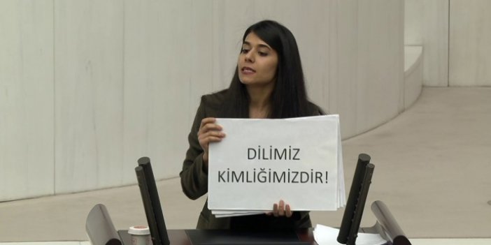 Meclis’te Kürtçe konuşup karşılığını dövizlerle gösterdi