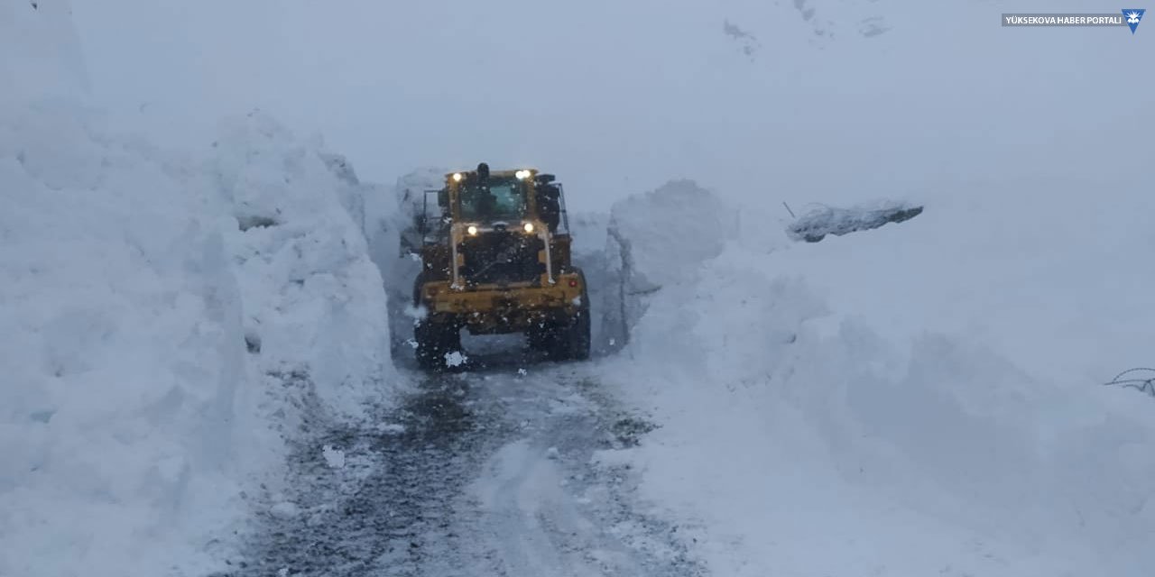 Hakkari'de 298 yerleşim biriminin yolu kardan kapandı