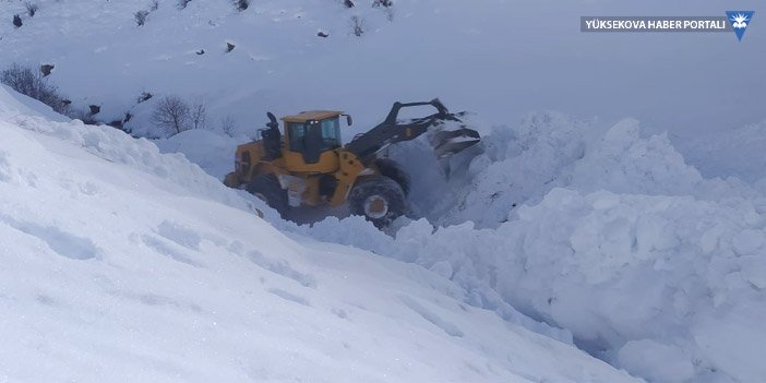Yüksekova’da karla mücadele çalışmaları sürüyor