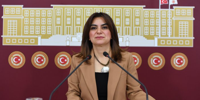 DEM Partili Koçyiğit: Kürt halkının anadili seçmeli dil olamaz