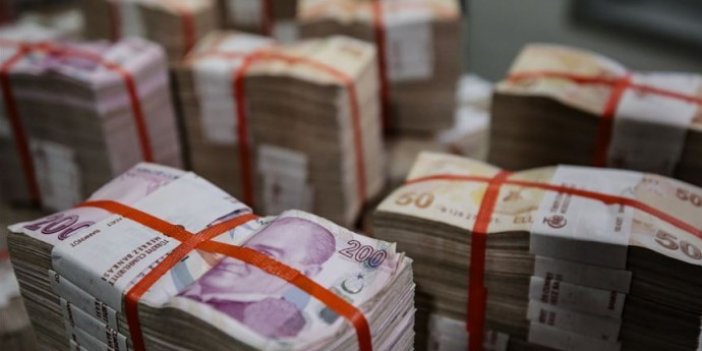 Hazine 24,8 milyar lira borçlandı