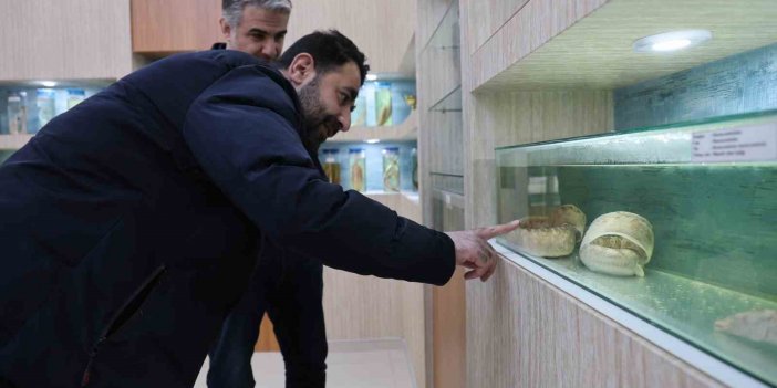 Elazığ’daki ‘Balık Müzesi’ ilgi görüyor