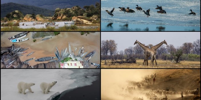 WMO: Kayıtlara "en sıcak yıl" olarak geçen 2023'te aşırı iklim olaylarında yeni rekorlara ulaşıldı