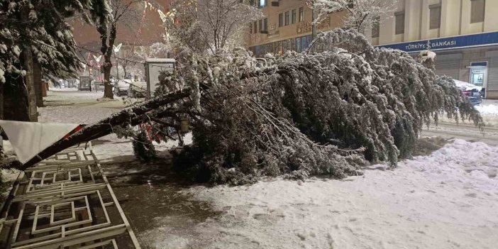 Aşırı kar yağışına dayanamayan ağaç yola devrildi