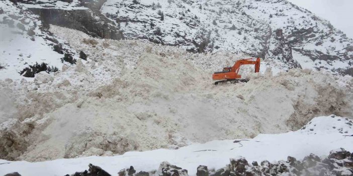 Prof. Dr. Faruk Alaeddinoğlu: “Van’daki çığların temel nedeni sulu kar"