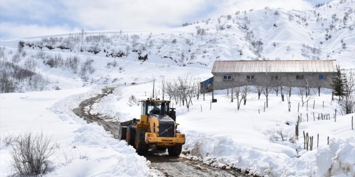 Bitlis’te ulaşıma kapanan yollar  trafiğe açıldı