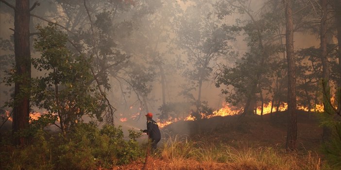 Yunanistan'daki orman yangını devam ediyor