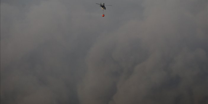 Tayland'daki orman yangınları, bölgedeki hava kirliliğini tehlikeli seviyelere çıkardı