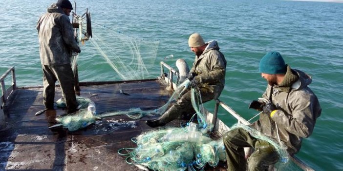 Van Gölü'nde İnci Kefali avı yasağı yaklaşıyor: Balıkçılar son ağlarını bırakıyor