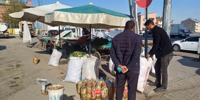 Malazgirtli vatandaşlar şifalı bitkileri satarak gelir elde ediyor