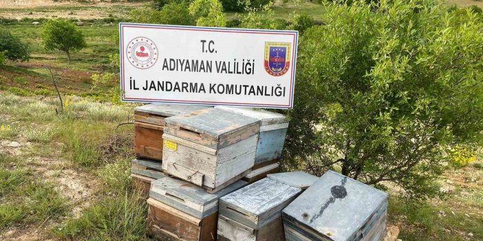 Hırsızların çaldığı arı kovanları jandarma tarafından bulundu